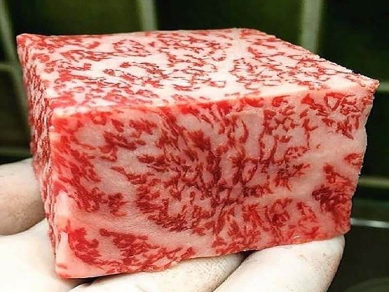 Giá thịt bò Wagyu Nhật Bản