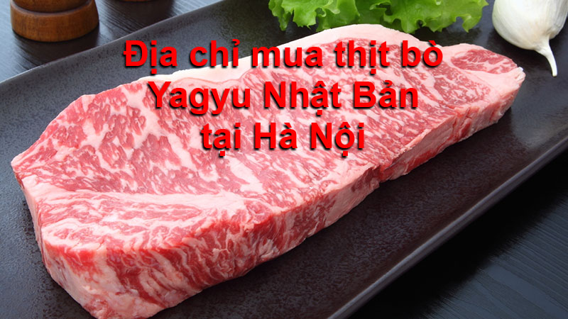 Địa chỉ mua thịt bò Wagyu Nhật bản uy tín tại hà nội