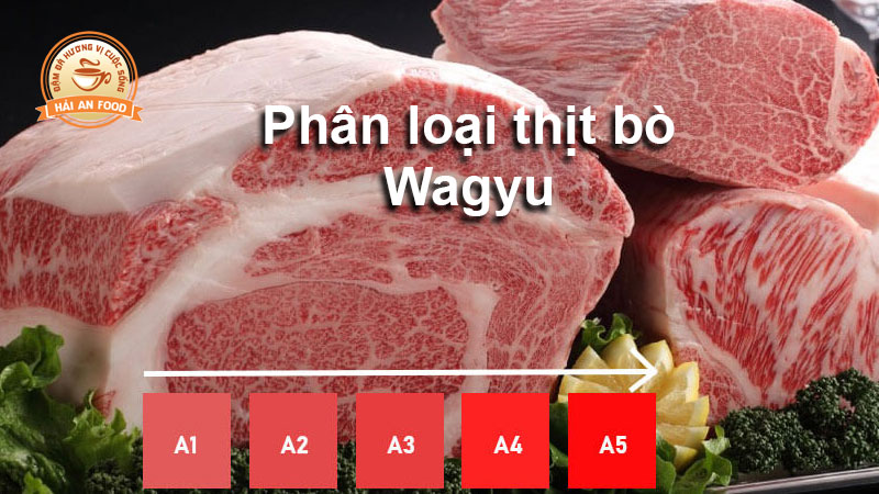phân loại thịt bò Wagyu